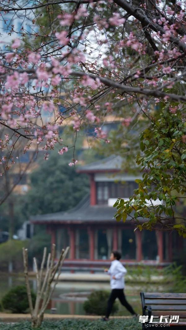 降温降雨！冷空气提前抵达长沙！