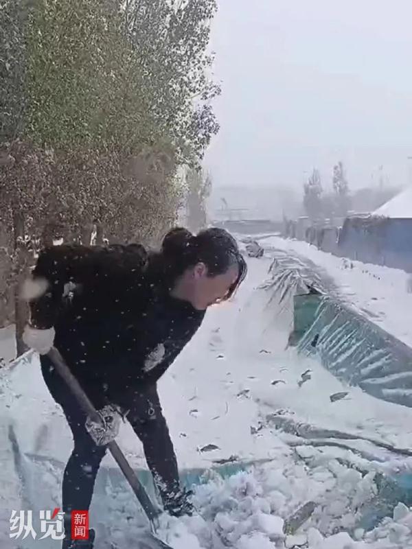 河北这位货车女司机火了！圈粉340万……