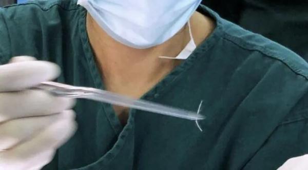 “无刺”草鱼来了!口感怎么样? “无刺”草鱼来了!口感怎么样?