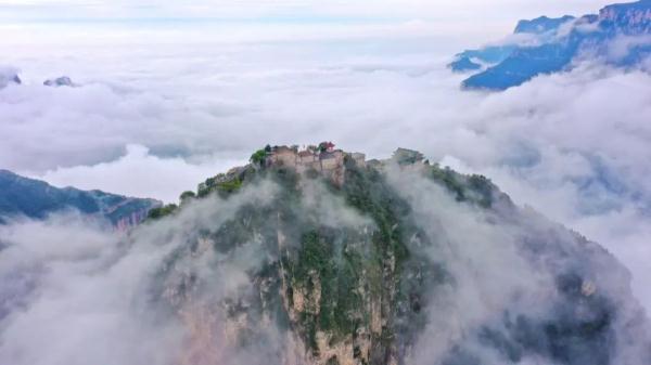 女士免票！男士半价！三月新乡南太行山桃花海等你来