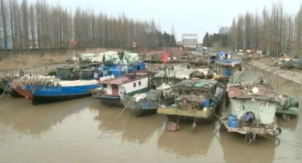 江刀、江豚回来了吗？长江保护法3周年，长江的变化肉眼可见！