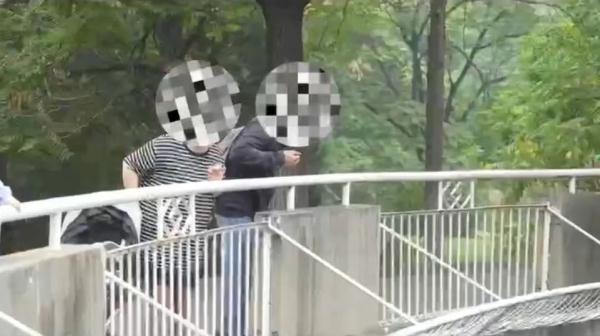 “关爱动物，拒绝祸祸！” 天津粉丝猴山喊话火了！