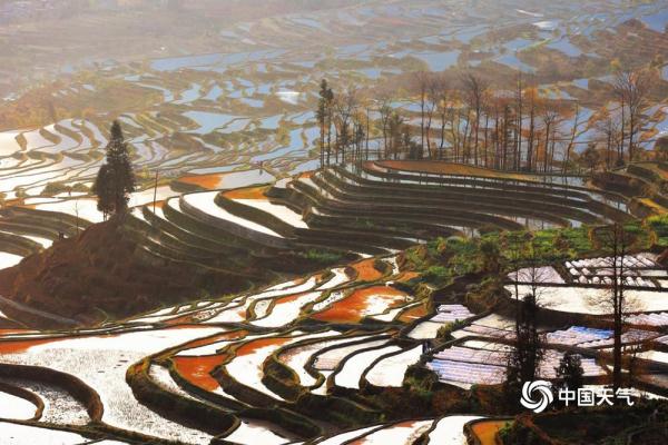 云南元阳梯田如镜 云海缭绕气象万千