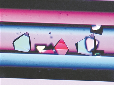 上过太空，它们有了“超能力”