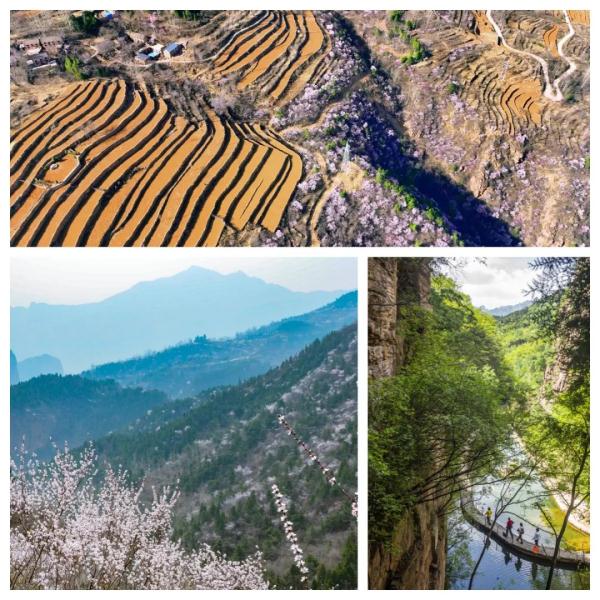 女士免票！男士半价！三月新乡南太行山桃花海等你来