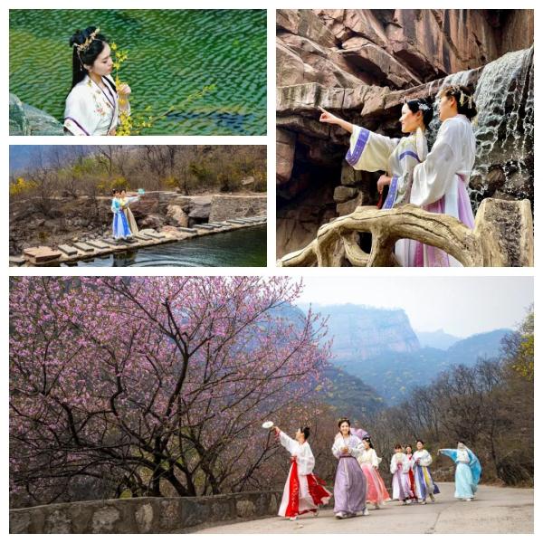 女士免票！男士半价！三月新乡南太行山桃花海等你来