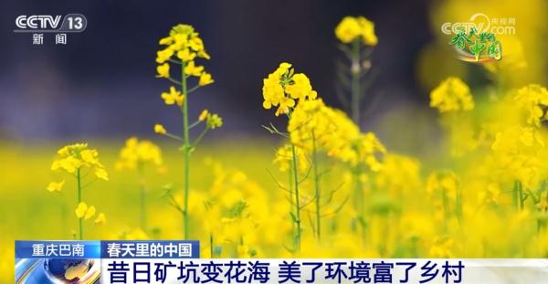 春日盛景画卷繁花似锦醉游人 春天里的中国“万紫千红”振奋人心 春日盛景画卷繁花似锦醉游人 春天里的中国“万紫千红”振奋人心
