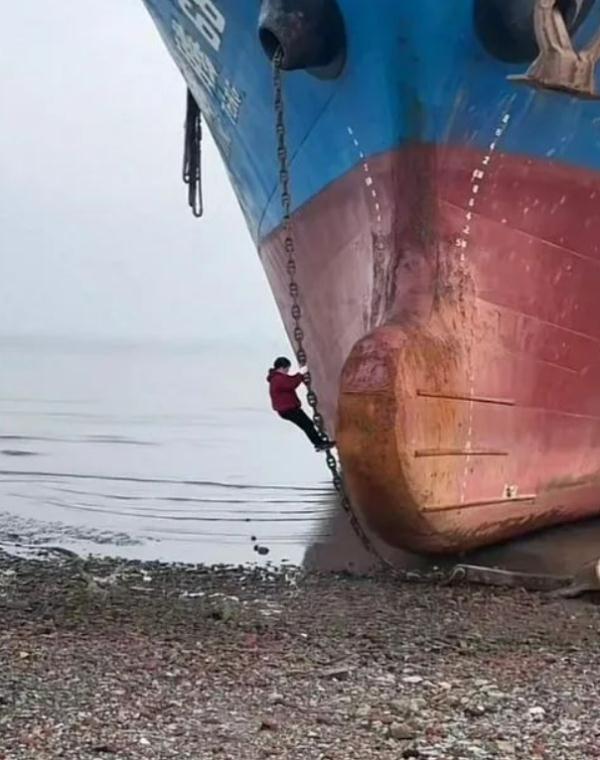 危险！废弃船只成网红打卡地，上海有关部门：栈板绳梯已撤，将拖离