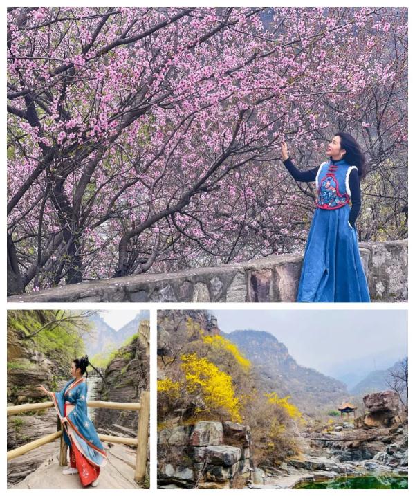 女士免票！男士半价！三月新乡南太行山桃花海等你来