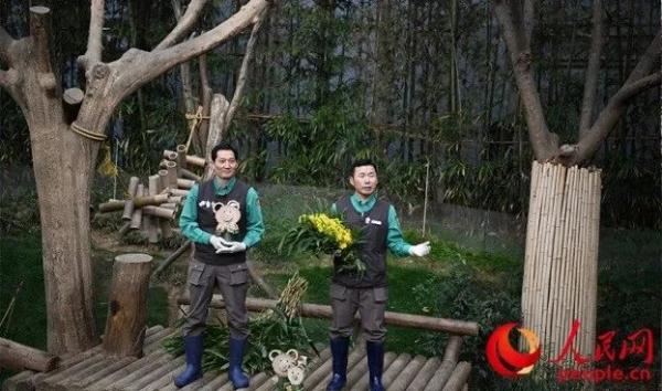 “福宝”即将回国！韩国粉丝凌晨排队道别