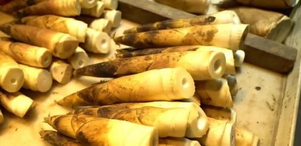 今日惊蛰！上春菜！