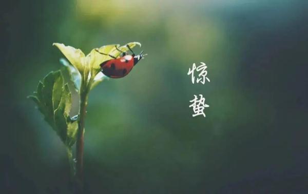 风雨组团来袭！“快闪型”冷空气即将登陆上海，最低温骤降9℃