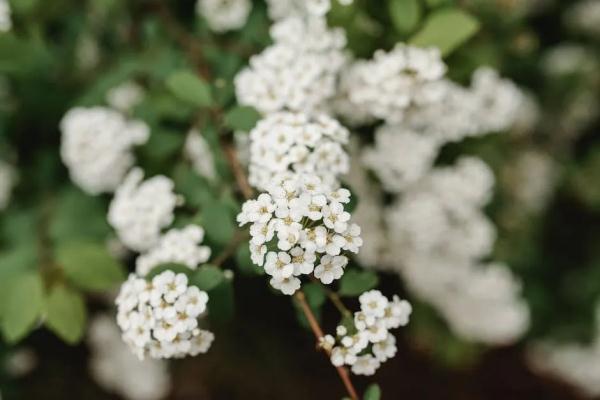 西安最高气温有望突破21℃!具体时间→ 西安最高气温有望突破21℃!具体时间→