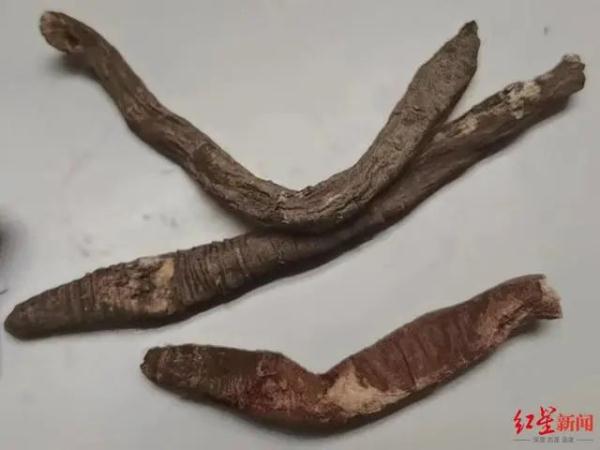 很多人开始了！紧急提醒：谨防错采误食