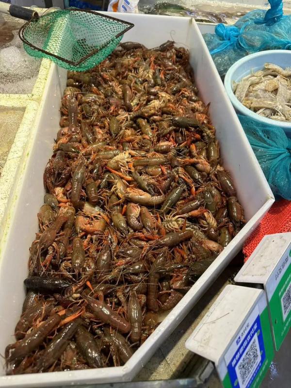 刚刚上市!绍兴人爱吃的美味,价格…… 刚刚上市!绍兴人爱吃的美味,价格……