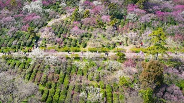 惊蛰！春雷响，万物长