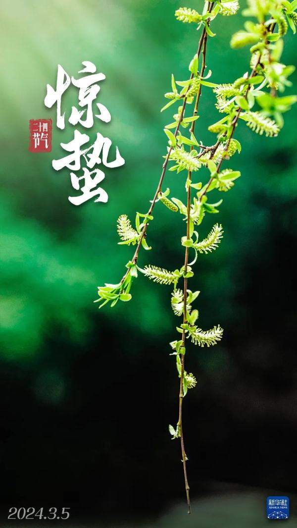 惊蛰！春雷响，万物长