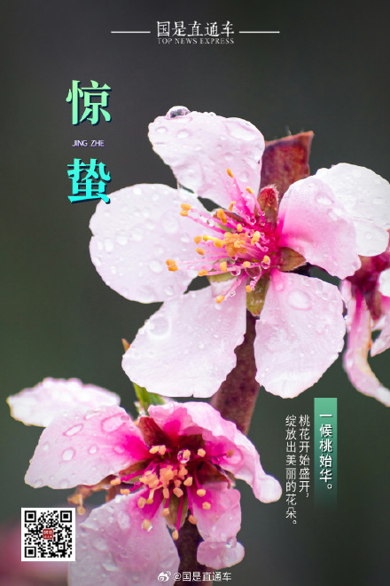 诗句中的24节气：今日惊蛰