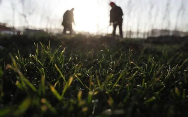 惊蛰！春雷响，万物长