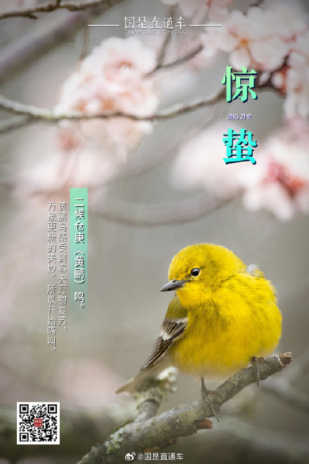 诗句中的24节气：今日惊蛰