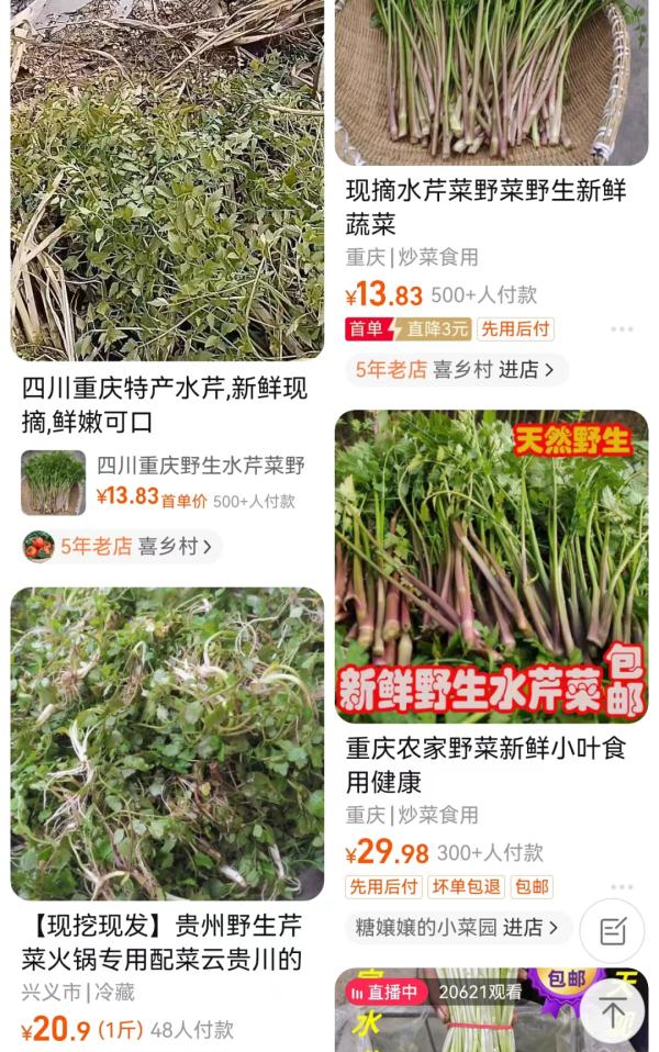 很多人开始了！紧急提醒：谨防错采误食