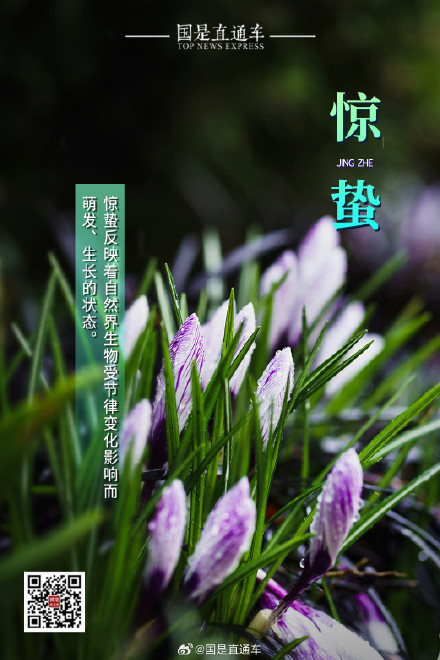 诗句中的24节气：今日惊蛰