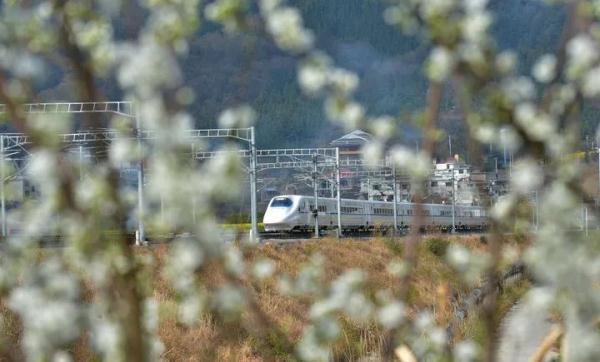 惊蛰！春雷响，万物长