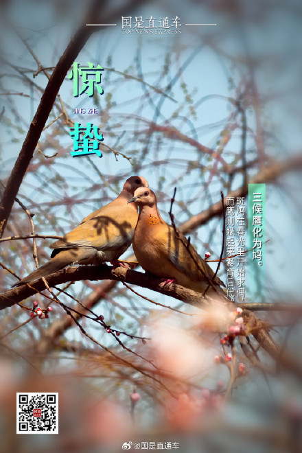 诗句中的24节气：今日惊蛰