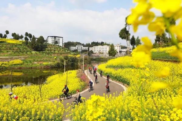 惊蛰！春雷响，万物长