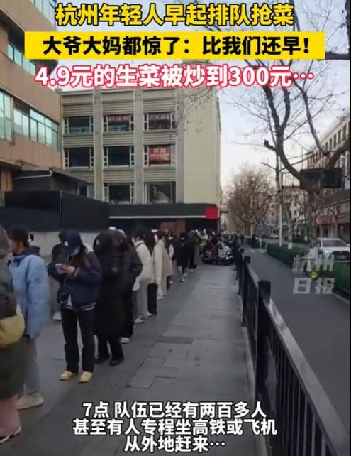 4.9元的生菜被炒到300元？！甚至有人坐高铁去抢菜，啥情况？