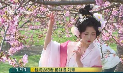 上海又到了“树上长满人”的季节！遭吐槽的老问题能解决吗？