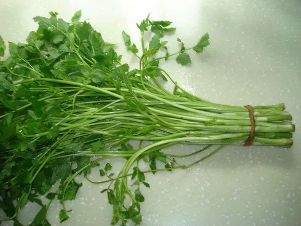 很多人开始了！紧急提醒：谨防错采误食