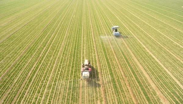 惊蛰！春雷响，万物长