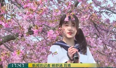 上海又到了“树上长满人”的季节！遭吐槽的老问题能解决吗？