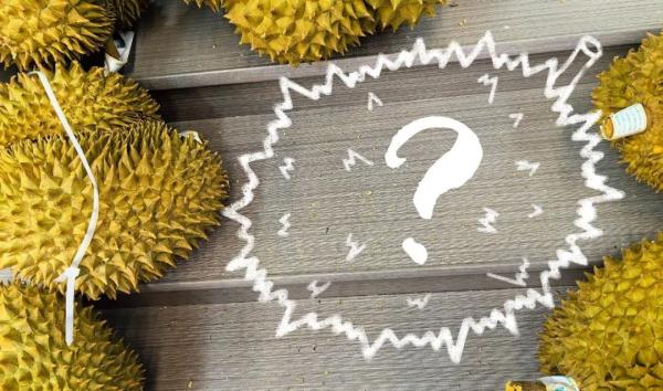 浙江女子看上680元大榴莲，结果太奇葩！