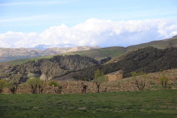 探访阿尔及利亚贾米拉古城遗址