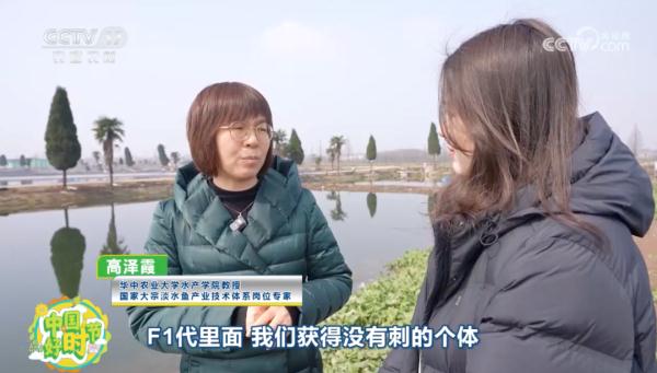 吃鱼卡刺?“无刺草鱼”来了,卡刺可能要解决了 吃鱼卡刺?“无刺草鱼”来了,卡刺可能要解决了