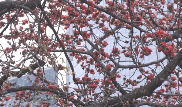 近期高发!广州街坊出门千万要注意 近期高发!广州街坊出门千万要注意