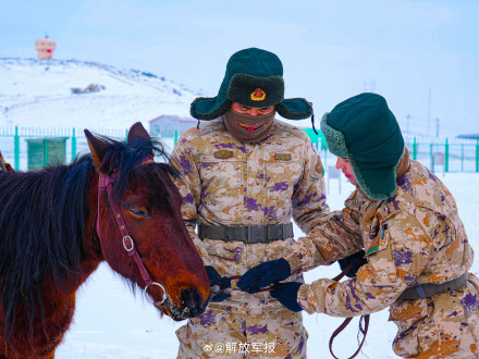 军马骑乘训练有多帅？一起看！