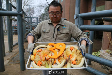 济南动物园亚洲象撒宽迎来39岁生日