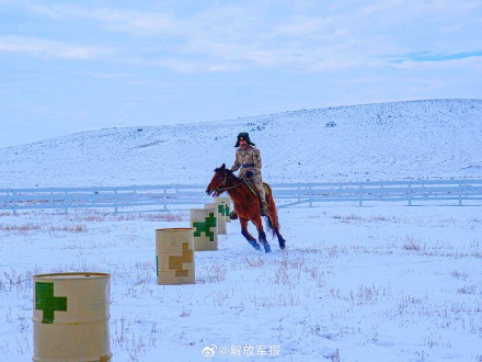 军马骑乘训练有多帅？一起看！