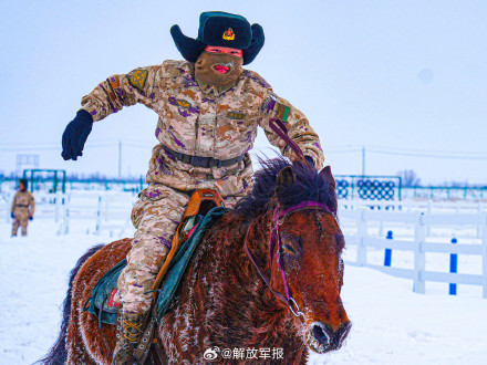 军马骑乘训练有多帅？一起看！