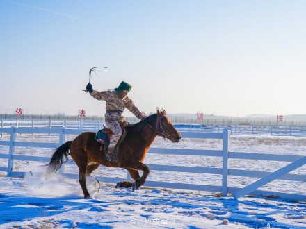 军马骑乘训练有多帅？一起看！