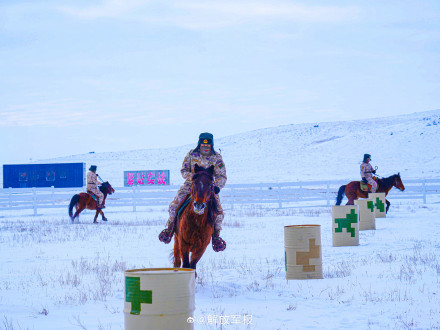 军马骑乘训练有多帅？一起看！