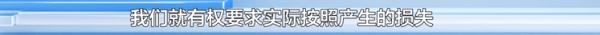 爱犬寄养被弄丢,抓捕时还受了伤!索赔被拒,律师提醒:这样的合同...... 爱犬寄养被弄丢,抓捕时还受了伤!索赔被拒,律师提醒:这样的合同......