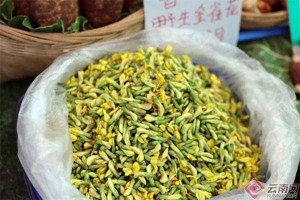 这些花不能乱吃！昆明警方紧急提醒→