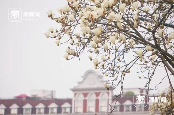 晴晴晴!明后天阳光满满,浙江何时入春?有消息了… 晴晴晴!明后天阳光满满,浙江何时入春?有消息了…