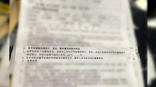 爱犬寄养被弄丢,抓捕时还受了伤!索赔被拒,律师提醒:这样的合同...... 爱犬寄养被弄丢,抓捕时还受了伤!索赔被拒,律师提醒:这样的合同......