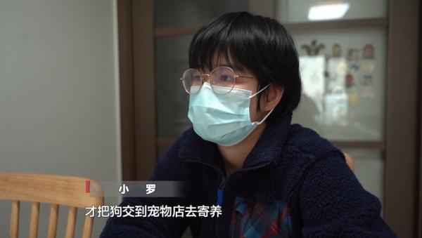 爱犬寄养被弄丢,抓捕时还受了伤!索赔被拒,律师提醒:这样的合同...... 爱犬寄养被弄丢,抓捕时还受了伤!索赔被拒,律师提醒:这样的合同......