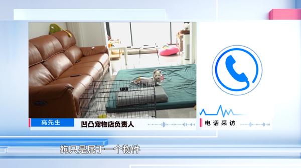 爱犬寄养被弄丢,抓捕时还受了伤!索赔被拒,律师提醒:这样的合同...... 爱犬寄养被弄丢,抓捕时还受了伤!索赔被拒,律师提醒:这样的合同......